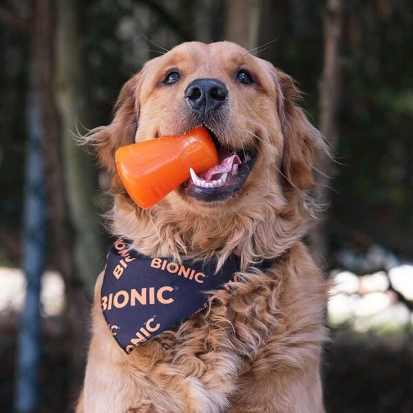 Bionic Treat Shaker