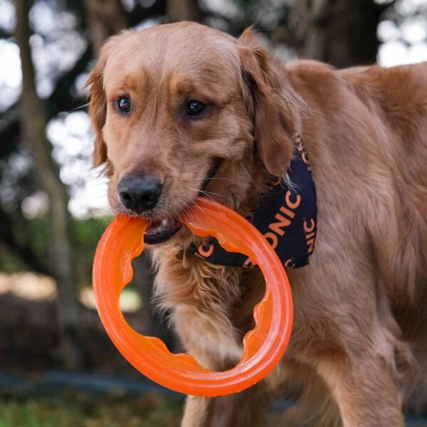 Bionic Toss-n-Tug Turbo