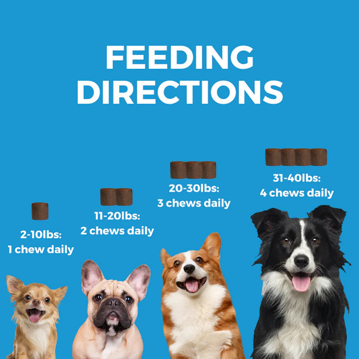 Nootie Progility Minis Skin & Coat Soft Chew Supplements for Dogs 120g