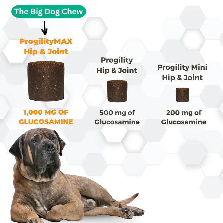 Nootie ProgilityMax Hip & Joint Soft Chew Supplements for Dogs 510g