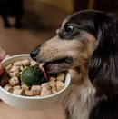 Faim Museau Dog Green Smoothie 180g
