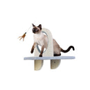 All For Paws Skywalk Groom & Play