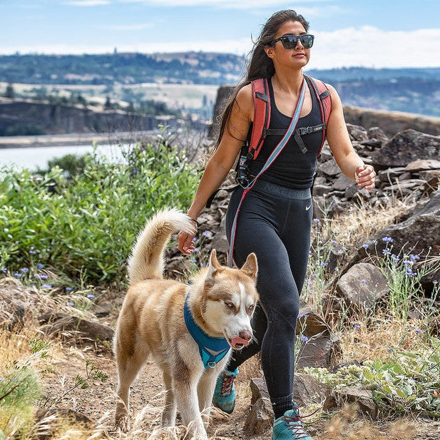 Kurgo 6-in-1 Quantum Dog Leash