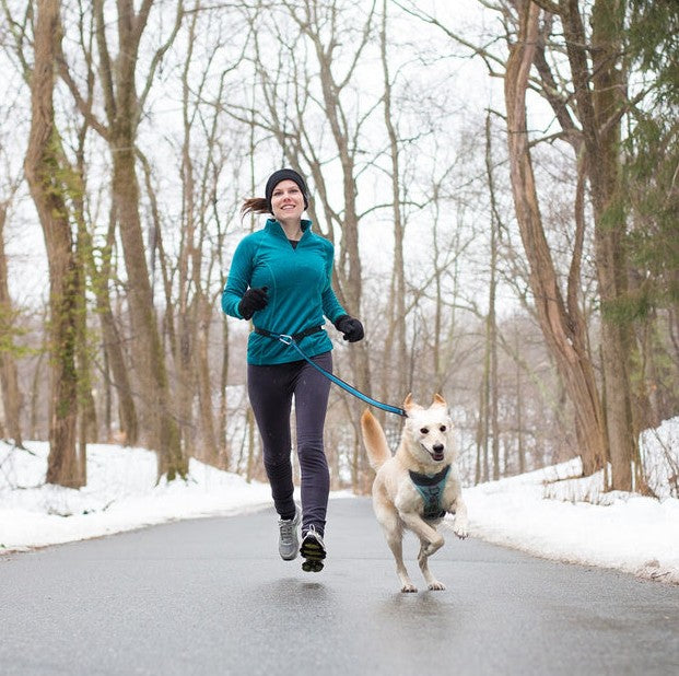 Kurgo 6-in-1 Quantum Dog Leash
