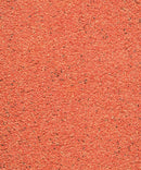 NutriBird Gold Patee Red for Canaries