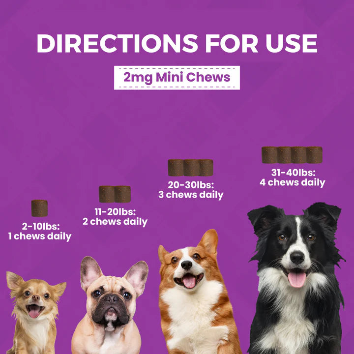 Nootie Progility Minis Calming Aid Soft Chew Supplements for Dogs 120g