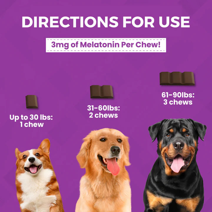 Nootie Progility Calming Aid Soft Chew Supplements for Dogs 450g