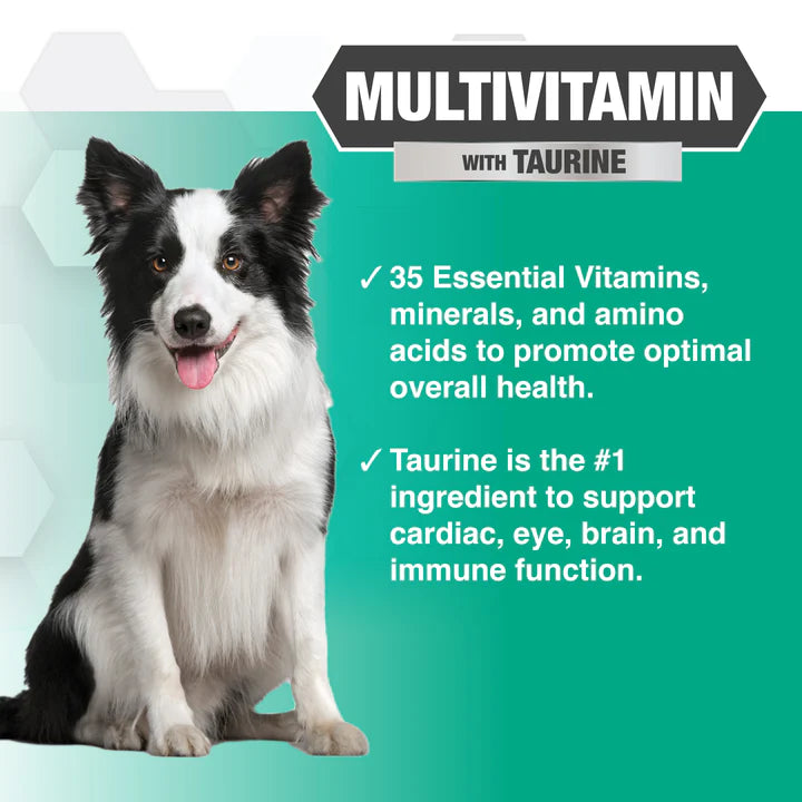 Nootie Progility Multivitamin Soft Chew Supplements for Dogs 540g