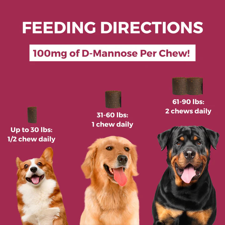 Nootie Progility Urinary Support Soft Chew Supplements for Dogs 450g