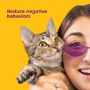 Comfort Zone Calming Pheromone Collar for Cats