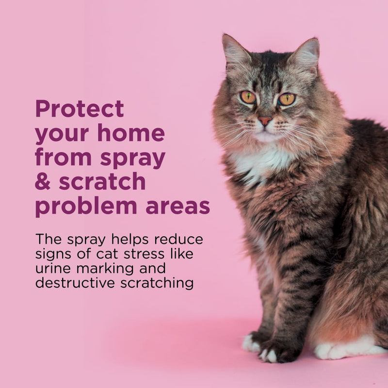Comfort Zone Spray & Scratch Control Spray for Cats & Kittens 59ml