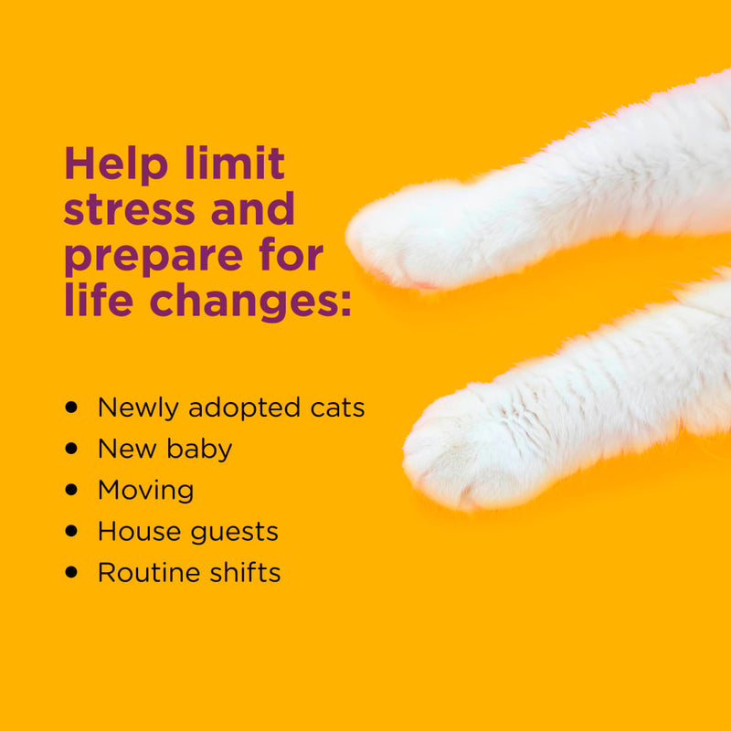 Comfort Zone Cat Calming Diffuser Kit 2-Pack