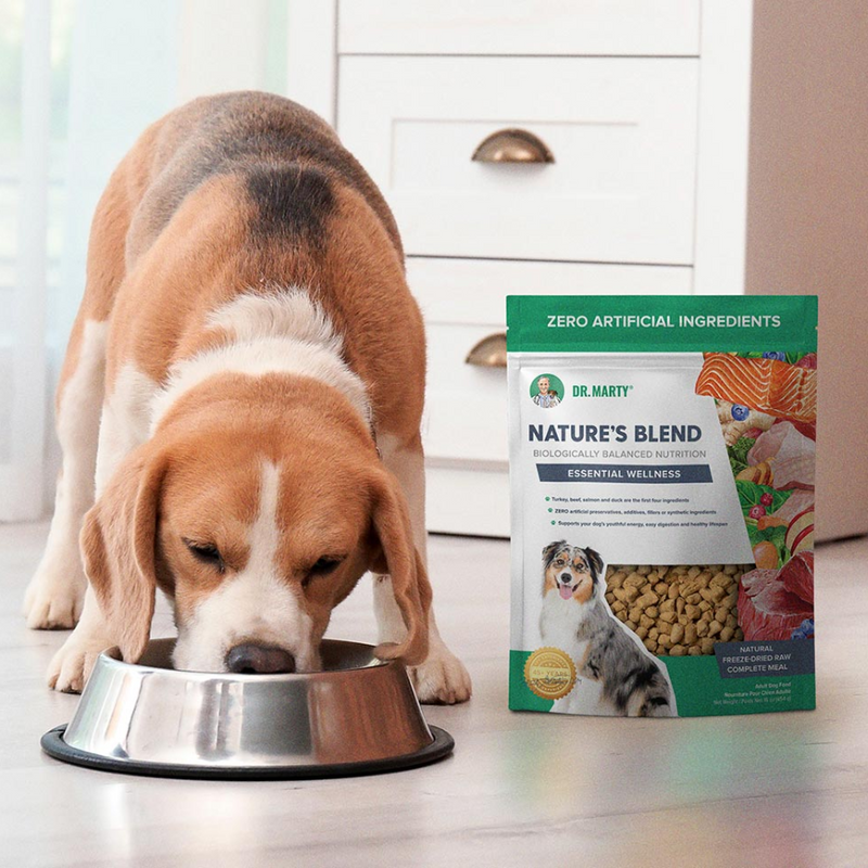 Dr. Marty Nature's Blend Essential Wellness Freeze Dried Raw Dog Food
