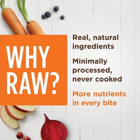 Instinct Raw Boost Shakers All Natural Beef Recipe 5.5oz
