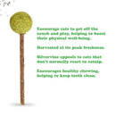 Meowijuana Lollies Silvervine Sticks With Catnip - 3 Pack