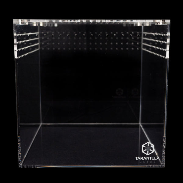 Tarantula Cribs 12" Tarantula Cube