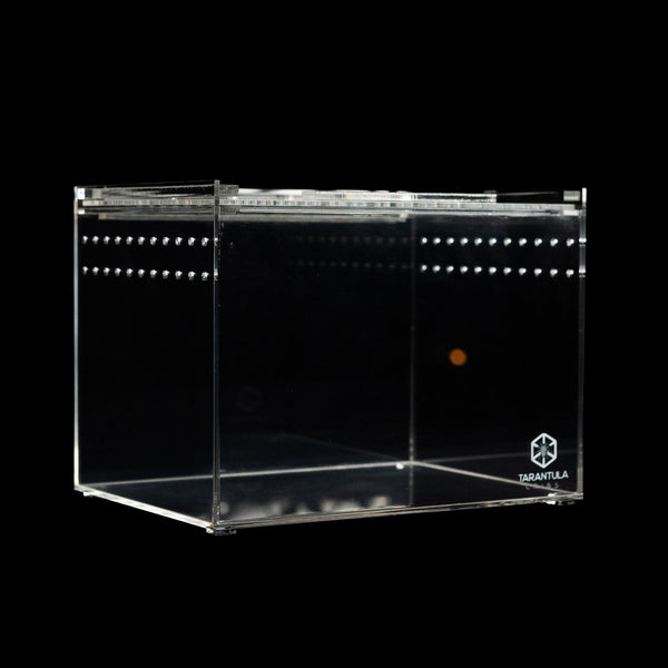 Tarantula Cribs Medium Slider Crib