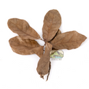 NewCal Pet Water Oak Leaf Litter 0.5oz