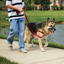 Petsafe Easy Walk Harness - Rose