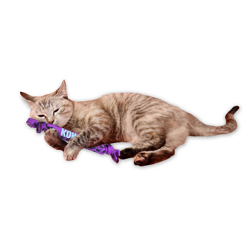 Kong Kickeroo Crunch for Cats