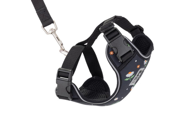 RC Pets Small Adventure Kitty Harness - Daisies