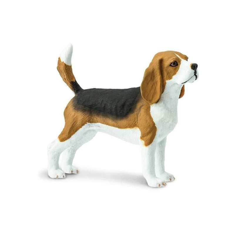 Safari Ltd. Beagle