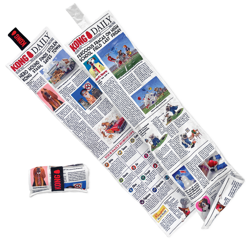 Kong Daily Newspaper