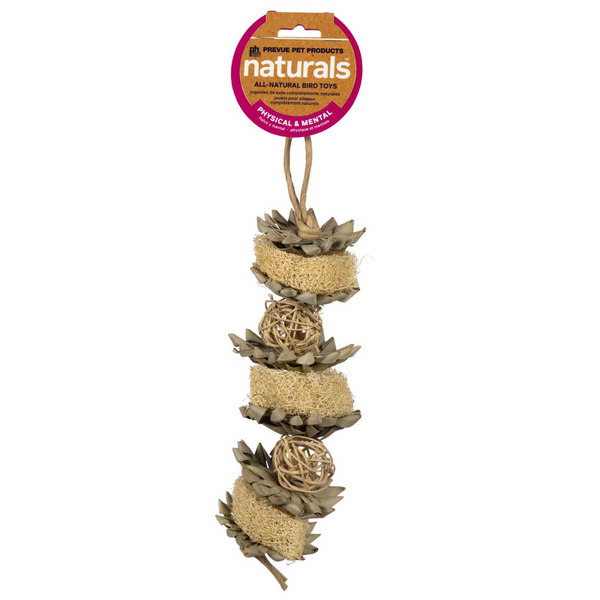 Prevue Pet Products Flowers & Cubes Bird Toy