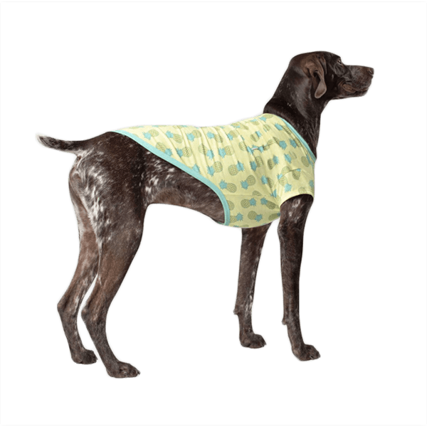 Canada Pooch Follow Me Tee - Pisces Pet Emporium