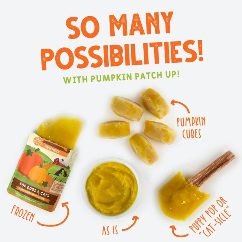 Weruva Pumpkin Patch Up - Ginger & Turmeric - Pisces Pet Emporium