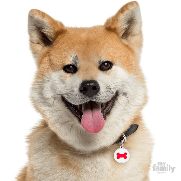 My Family Circle & Bone Pet ID Tag - Pisces Pet Emporium