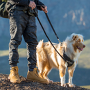 Rogz Lumberjack X-Large Explore Harness - Available in 3 Colours - Pisces Pet Emporium