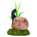 Aqua-Fit Dino Egg Ornaments - Pisces Pet Emporium