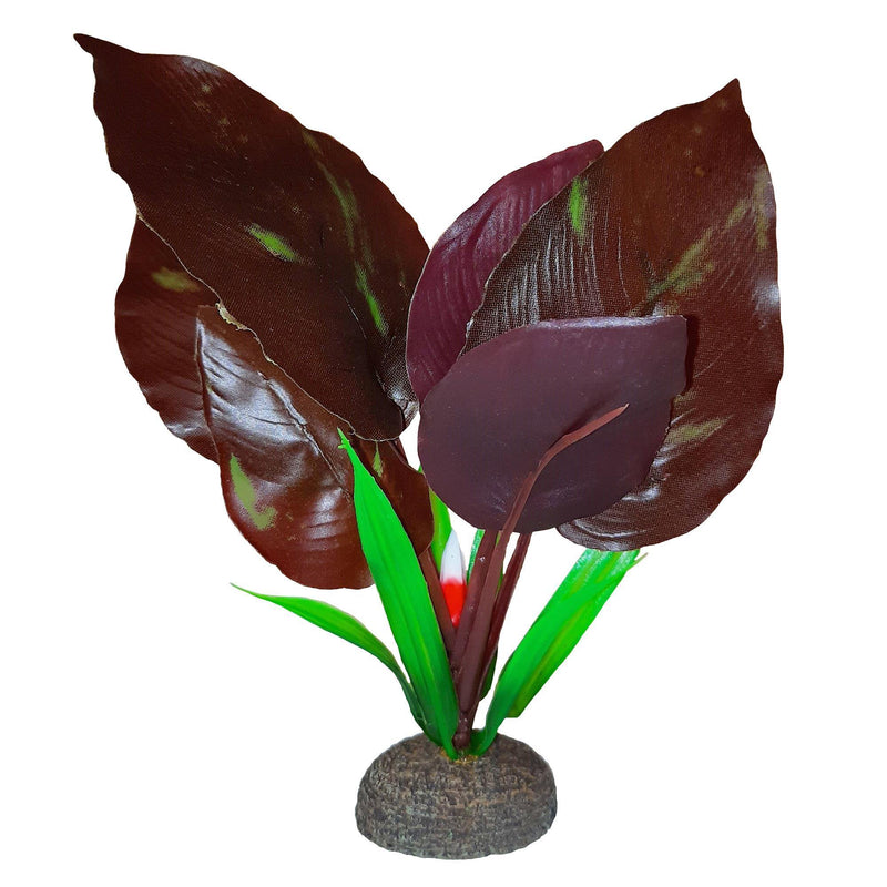 Fluval Premium Betta Plants - Pisces Pet Emporium
