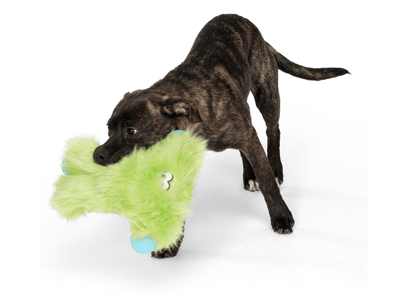 West Paw Rowdies - Peet - Pisces Pet Emporium