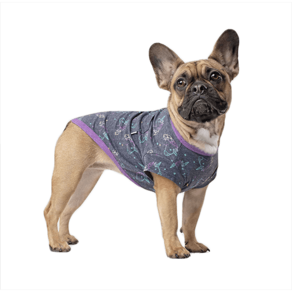 Canada Pooch Follow Me Tee - Pisces Pet Emporium