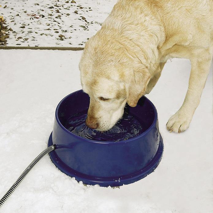 K&H Thermal Bowl - Pisces Pet Emporium