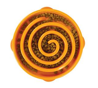 Outward Hound Fun Feeder Slo Bowl Med/Mini | Pisces