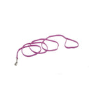 Coastal Sunburst Dog Leash - Pisces Pet Emporium
