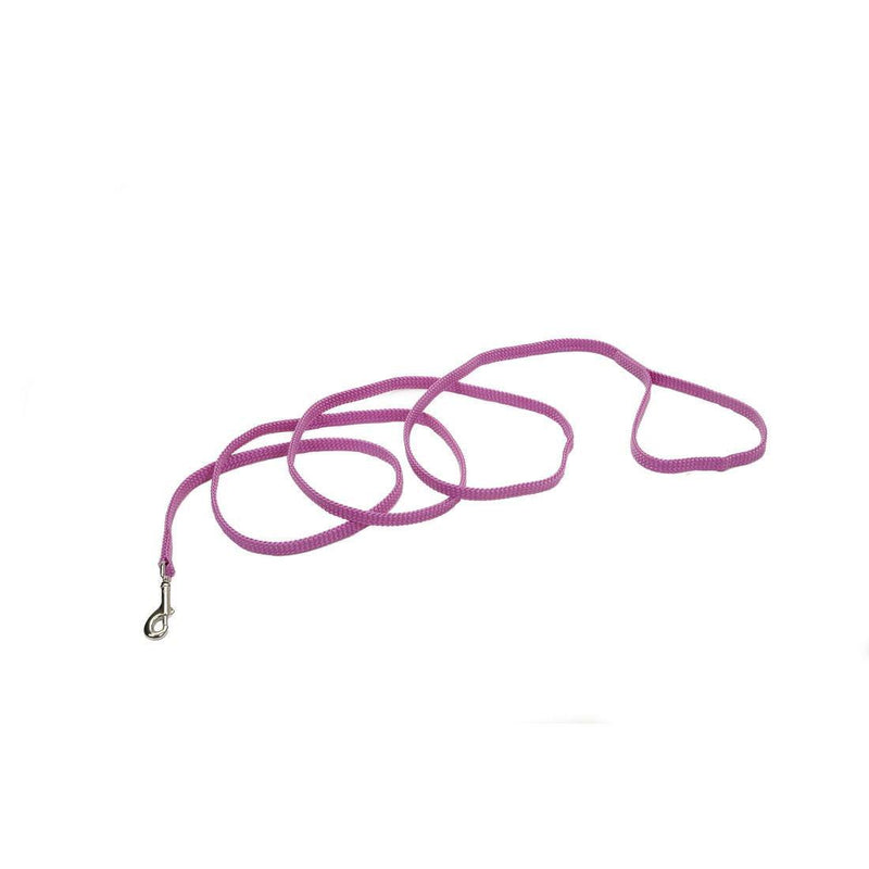 Coastal Sunburst Dog Leash - Pisces Pet Emporium