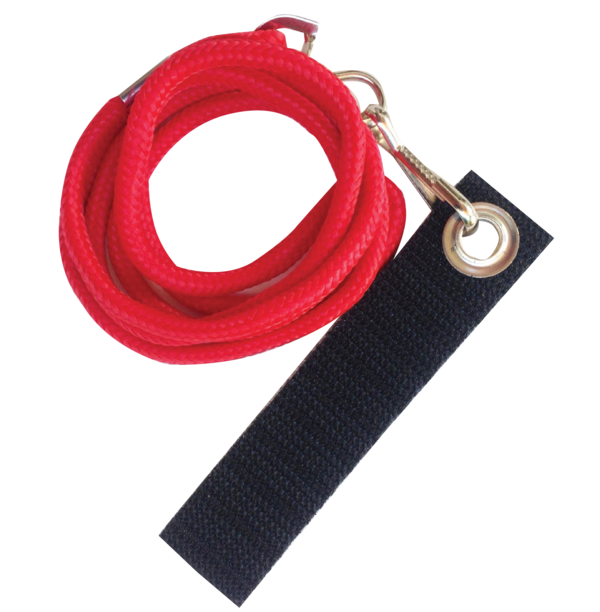 Avian Fashions Leashette for Birds | Pisces Pet Emporium