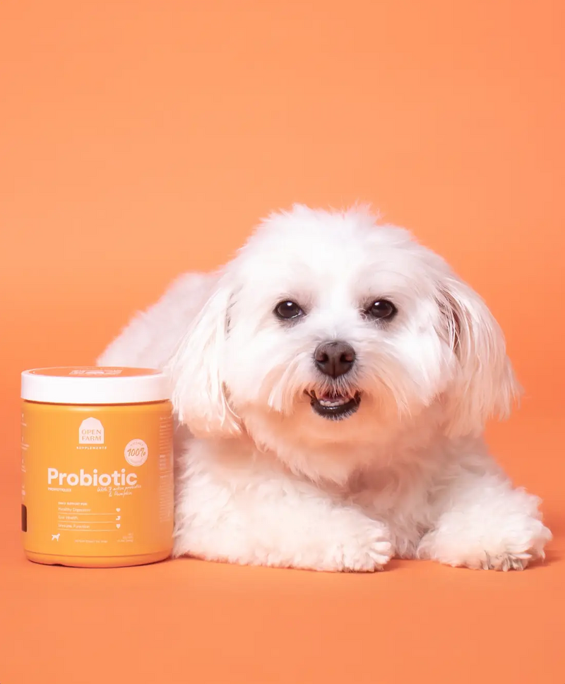 Open Farm Probiotic Supplement Chew Dog | Pisces