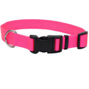 Coastal Adjustable Dog Collar - Pisces Pet Emporium