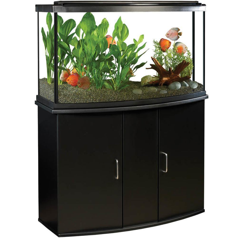 Fluval Premium LED Aquarium Kit - Black - Pisces Pet Emporium