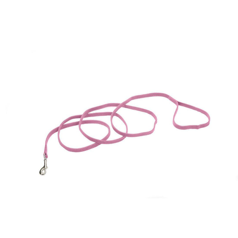 Coastal Sunburst Dog Leash - Pisces Pet Emporium
