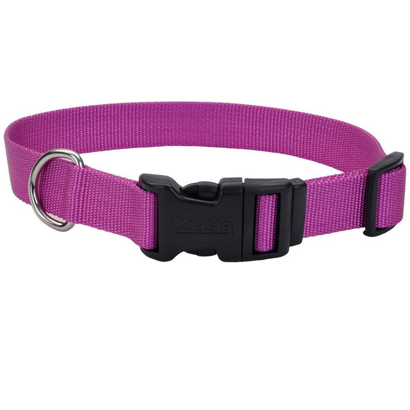 Coastal Adjustable Dog Collar - Pisces Pet Emporium