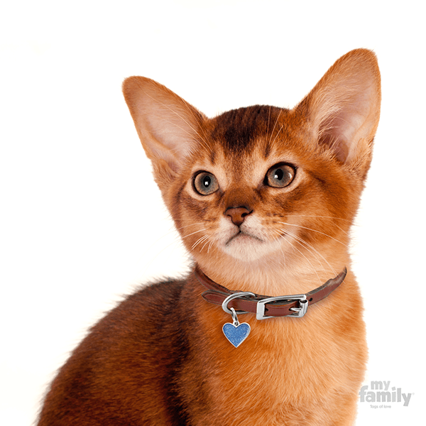 My Family Heart Glitter Pet ID Tag - Pisces Pet Emporium