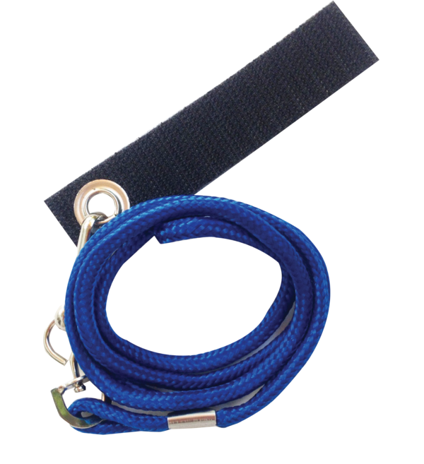 Avian Fashions Leashette for Birds | Pisces Pet Emporium