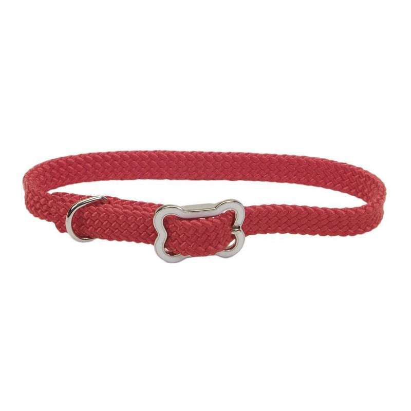Coastal Sunburst Bone Dog Collar - Pisces Pet Emporium
