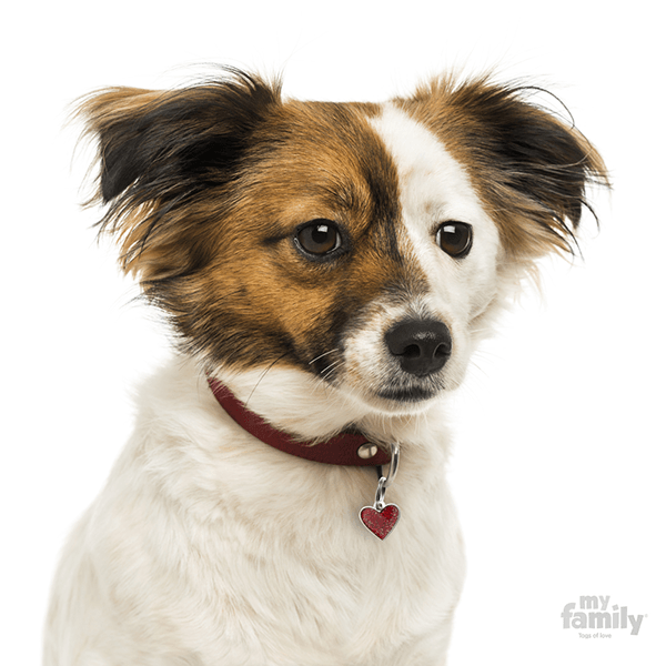 My Family Heart Glitter Pet ID Tag - Pisces Pet Emporium